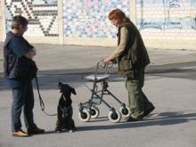 Der "gefährliche" Rollator